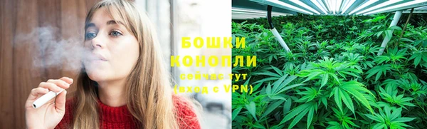 крисы Верхний Тагил