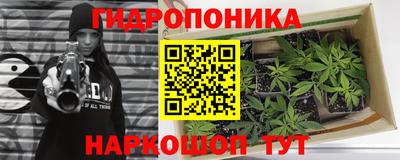 молекула духа Мариинск