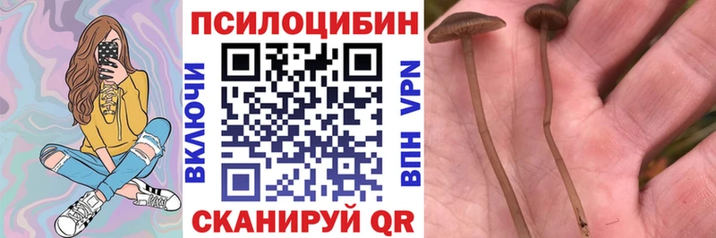Галлюциногенные грибы ЛСД  Воскресенск 