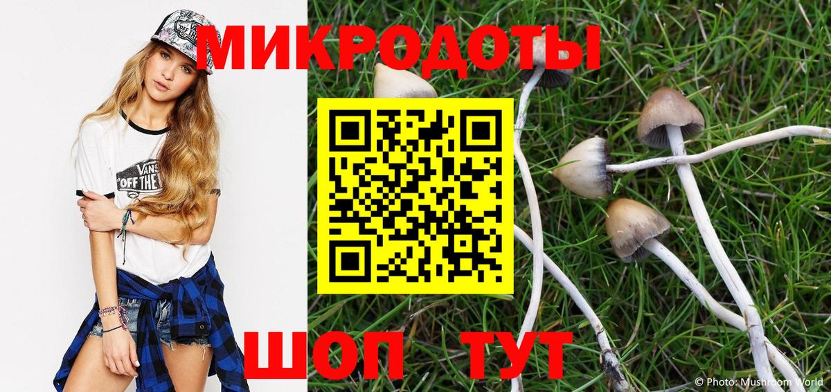 Псилоцибиновые грибы Psilocybe  Псилоцибиновые грибы ЛСД  Воскресенск  Вход с VPN 